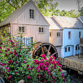 Roses at the Plimoth Grist Mill